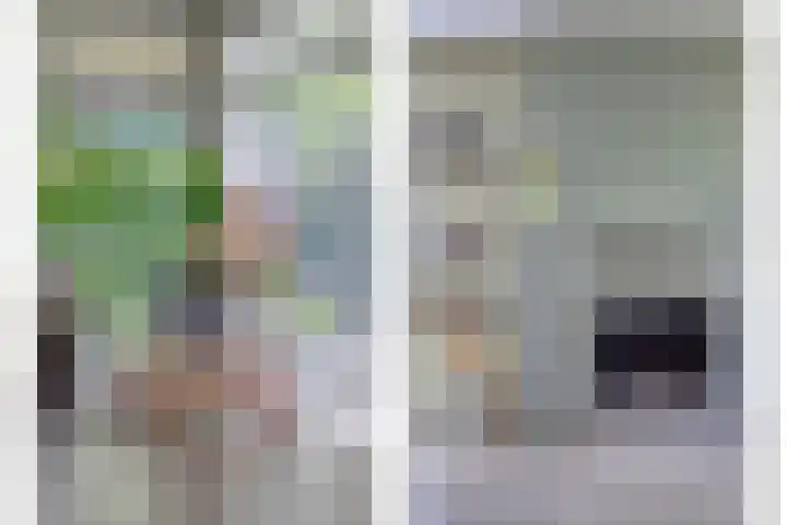 Riethaakstraat 5 Hank thumbnail 11