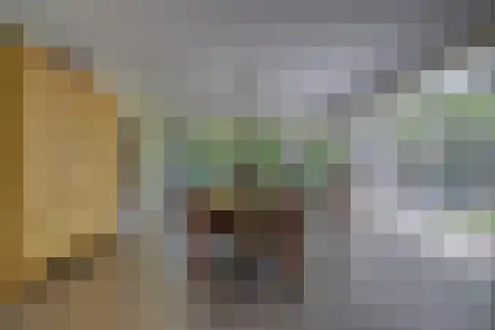 Riethaakstraat 5 Hank thumbnail 12
