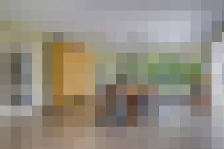 Riethaakstraat 5 Hank thumbnail 13