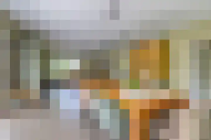 Riethaakstraat 5 Hank thumbnail 16