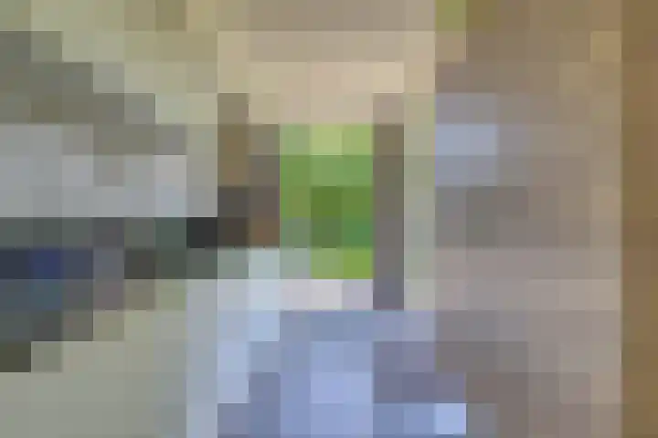 Riethaakstraat 5 Hank thumbnail 19