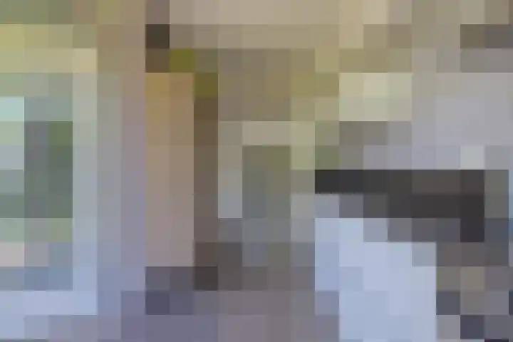 Riethaakstraat 5 Hank thumbnail 21