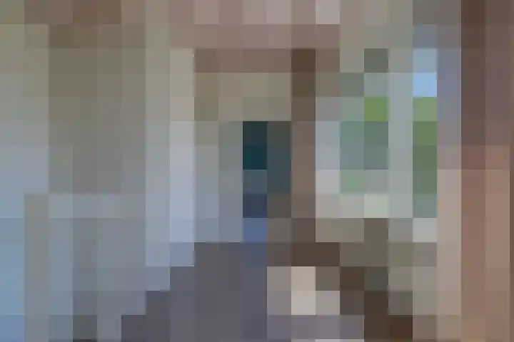 Riethaakstraat 5 Hank thumbnail 30