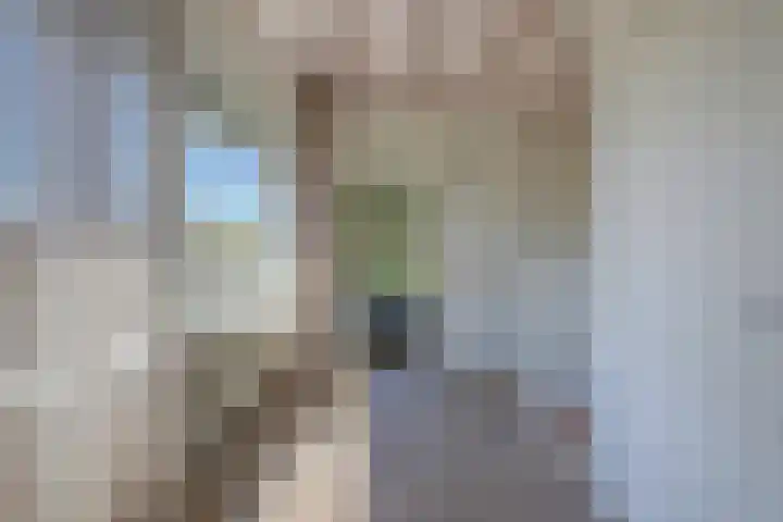 Riethaakstraat 5 Hank thumbnail 31