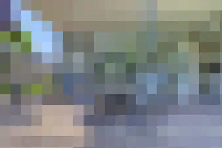 Riethaakstraat 5 Hank thumbnail 39