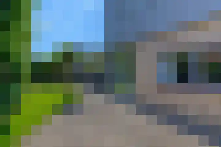 Riethaakstraat 5 Hank thumbnail 44