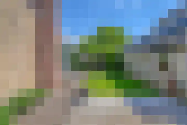 Riethaakstraat 5 Hank thumbnail 46