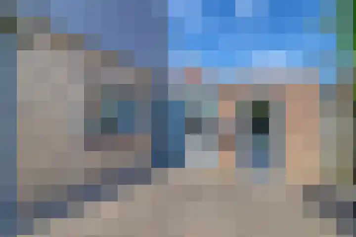 Riethaakstraat 5 Hank thumbnail 47