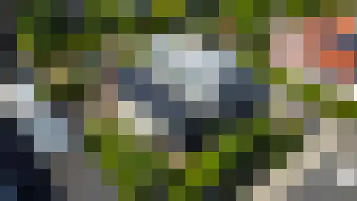 Riethaakstraat 5 Hank thumbnail 5