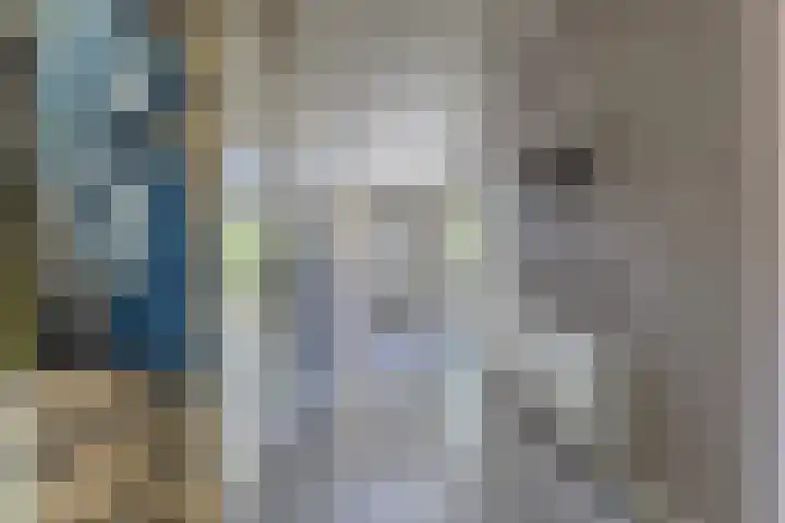 Riethaakstraat 5 Hank thumbnail 6