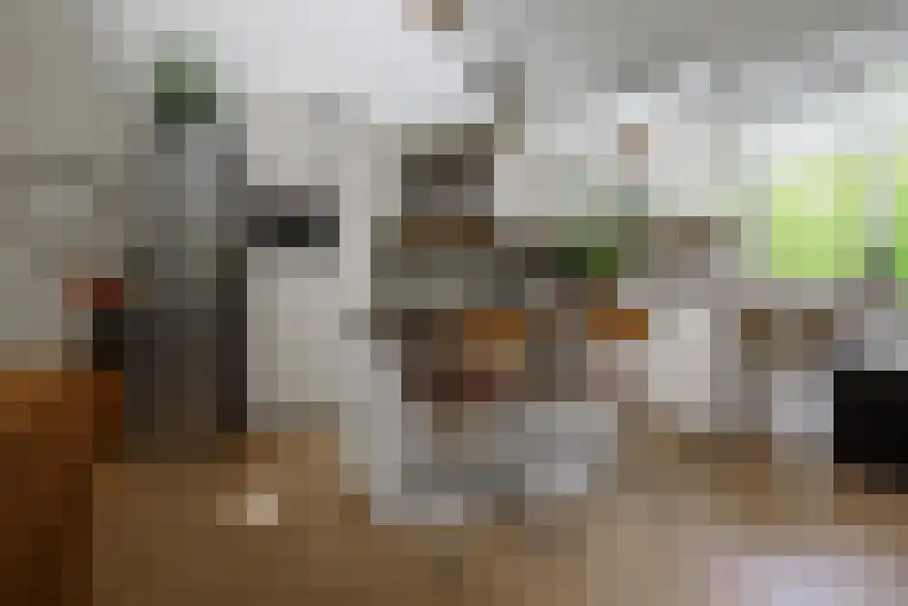 Riethermsteeg 35 Enschede thumbnail 17