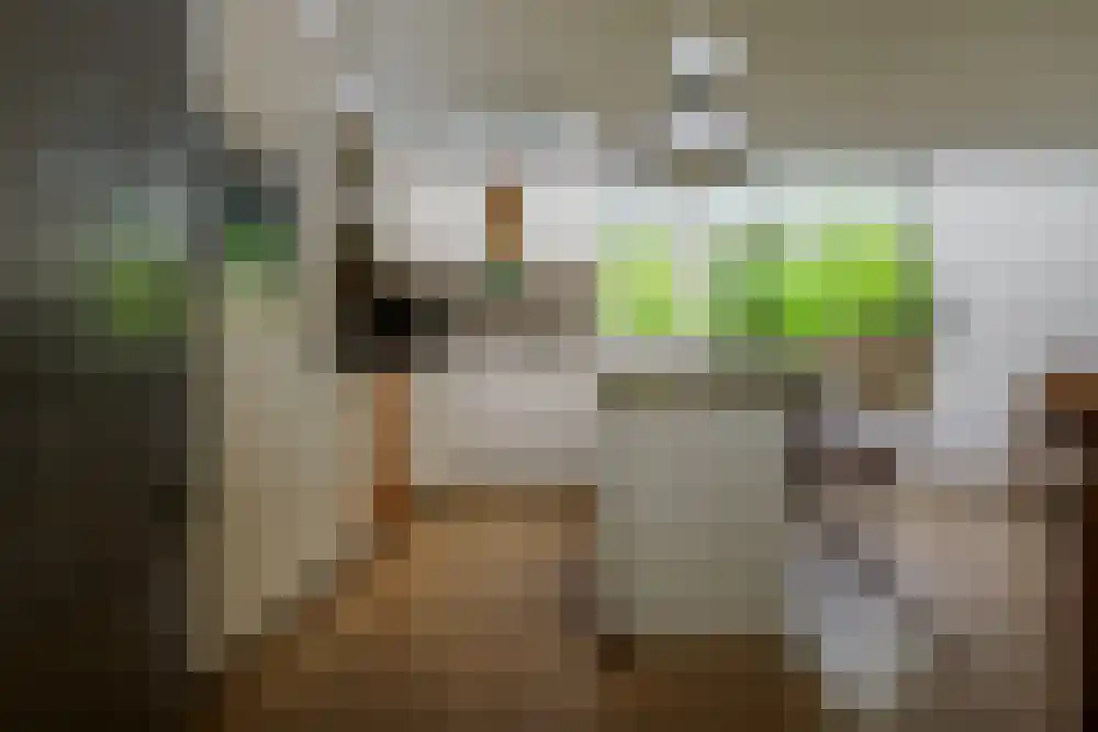 Riethermsteeg 35 Enschede thumbnail 18