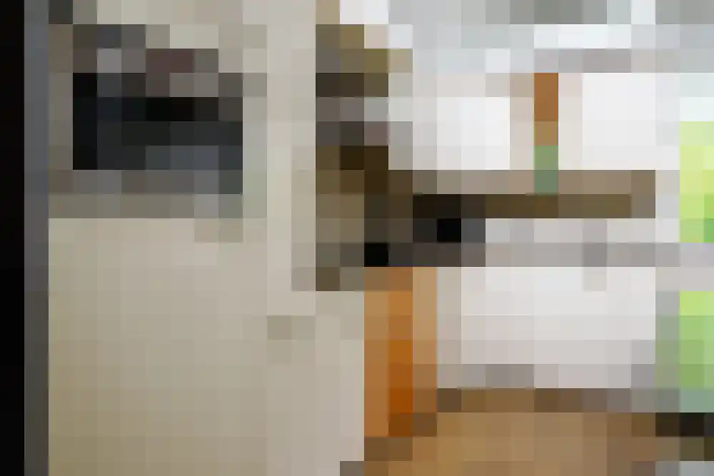 Riethermsteeg 35 Enschede thumbnail 19