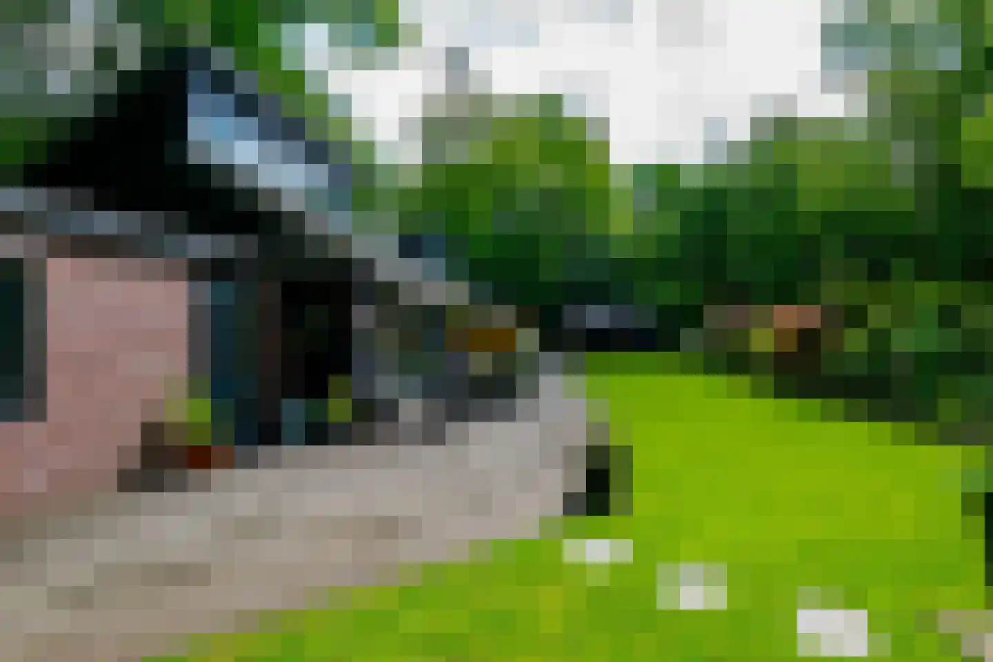 Riethermsteeg 35 Enschede thumbnail 35