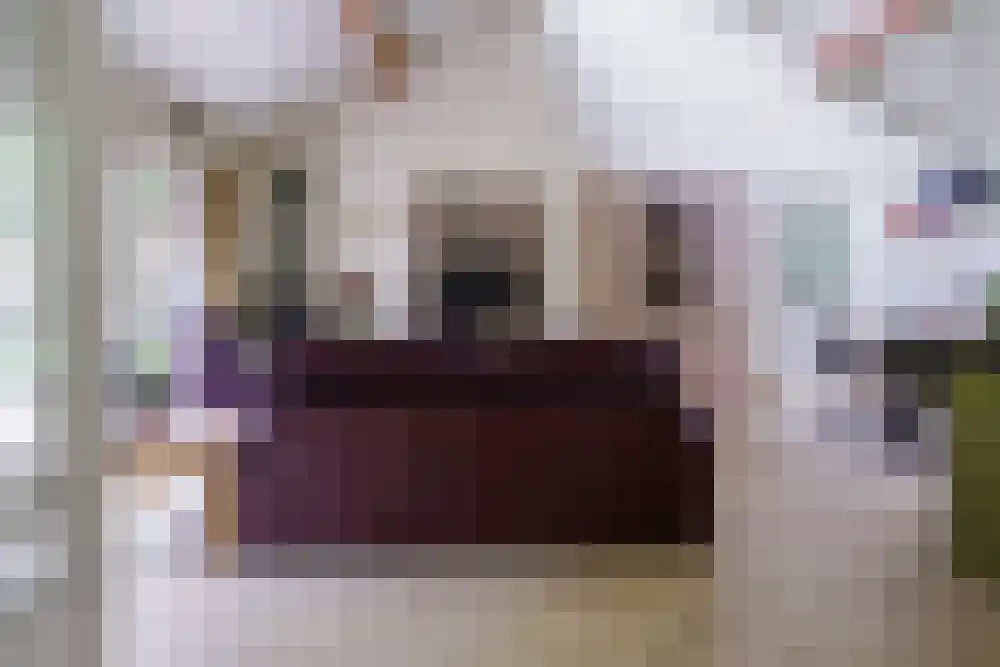 Riethermsteeg 35 Enschede thumbnail 41