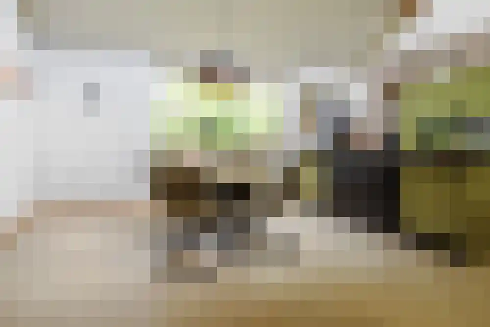 Riethermsteeg 35 Enschede thumbnail 46