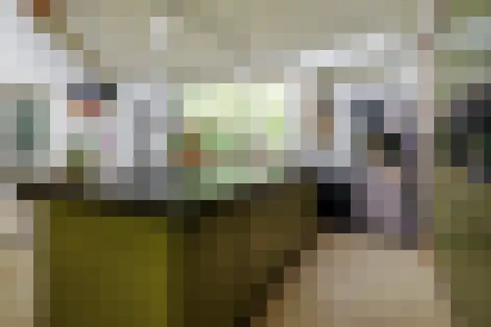 Riethermsteeg 35 Enschede thumbnail 48