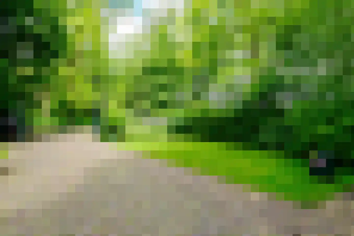 Riethermsteeg 35 Enschede thumbnail 6