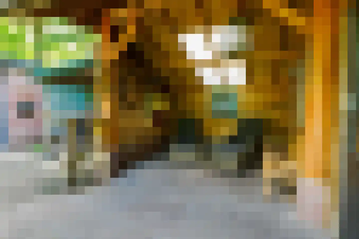 Riethermsteeg 35 Enschede thumbnail 60