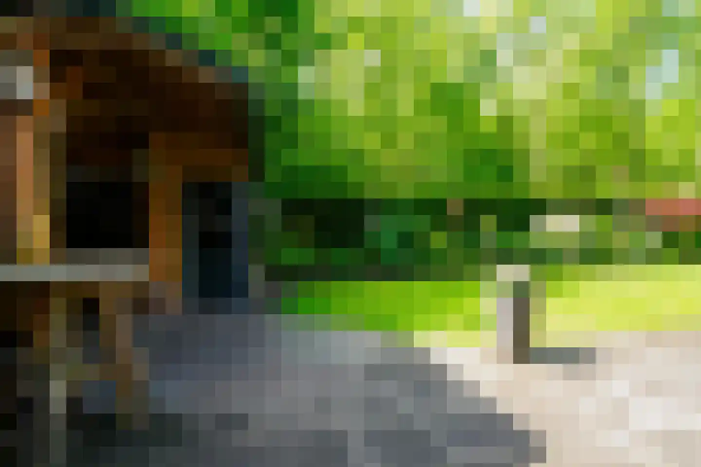 Riethermsteeg 35 Enschede thumbnail 61