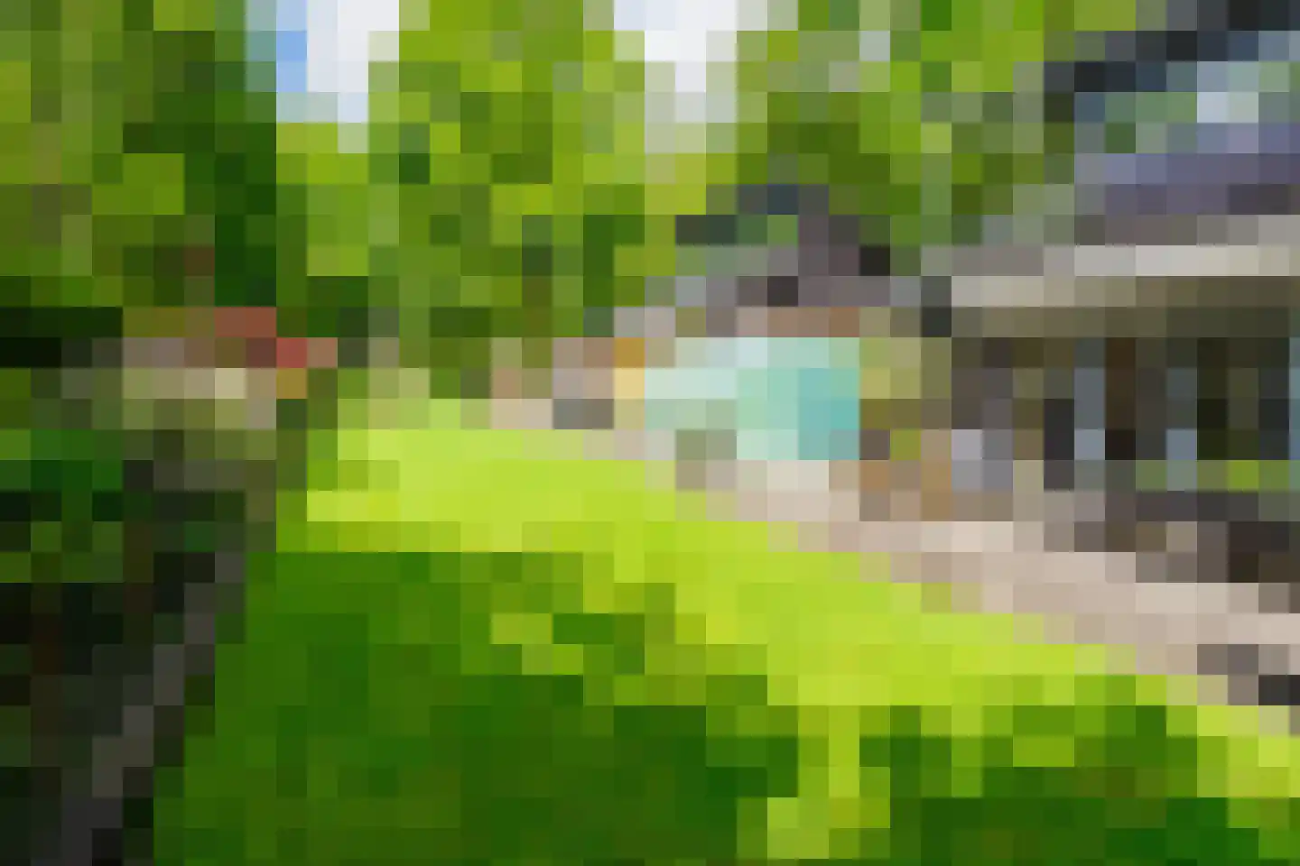 Riethermsteeg 35 Enschede thumbnail 62