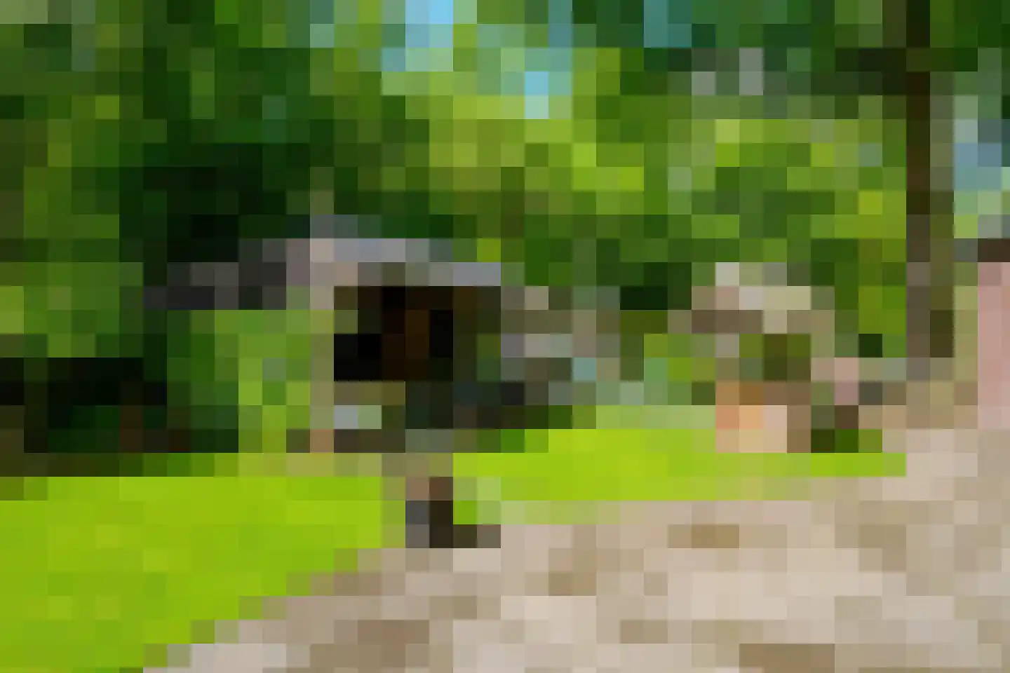 Riethermsteeg 35 Enschede thumbnail 63