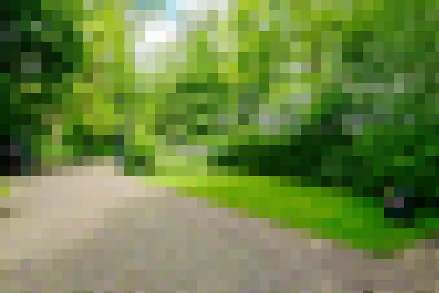 Riethermsteeg 35 Enschede thumbnail 64