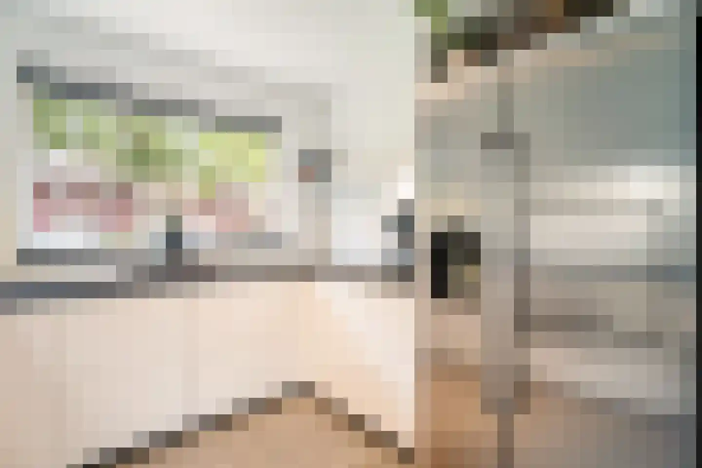 Riethovenerf 18 Tilburg thumbnail 10