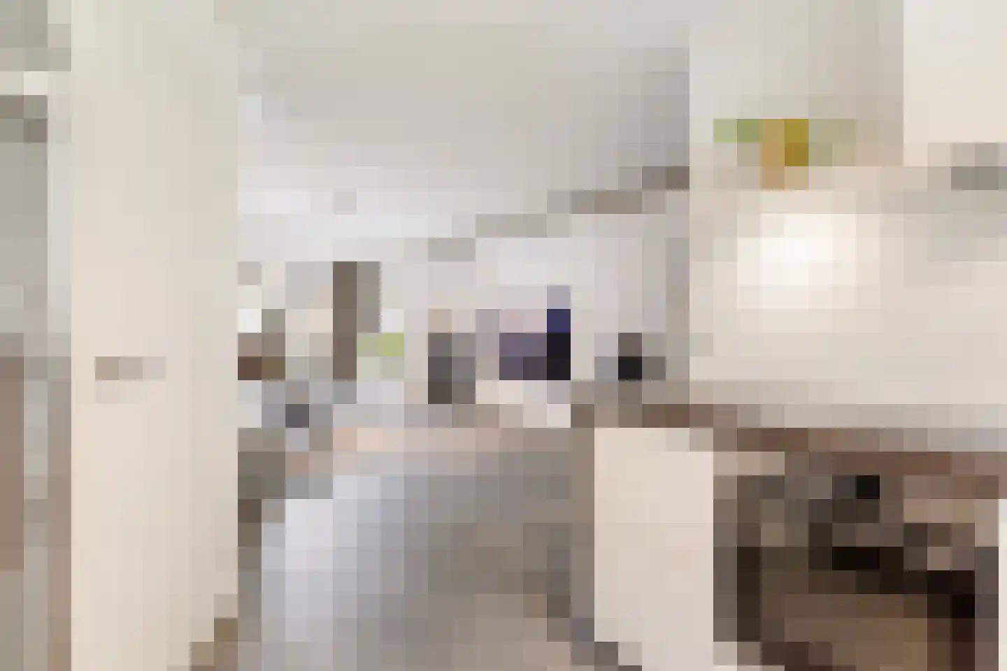 Riethovenerf 18 Tilburg thumbnail 11