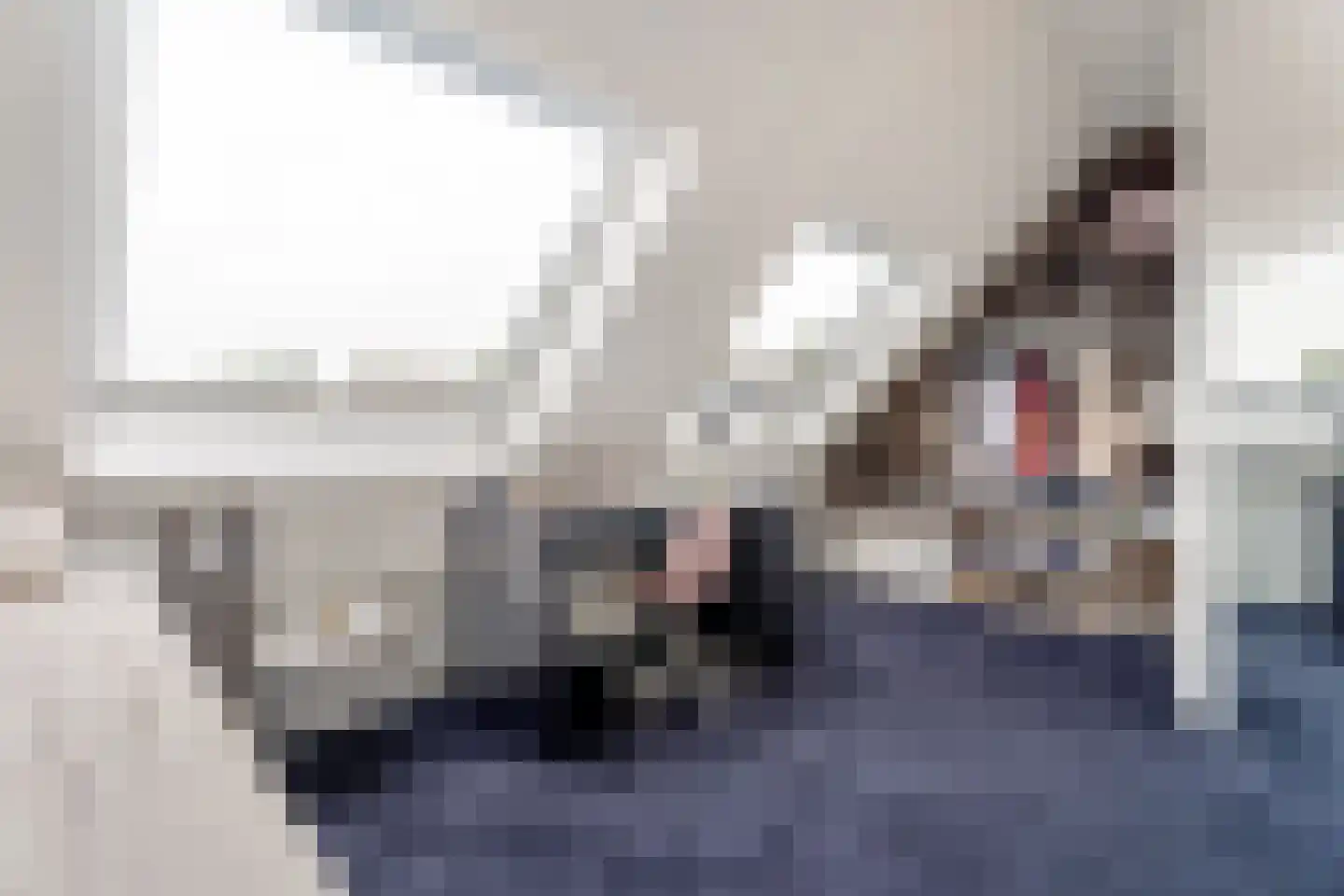 Riethovenerf 18 Tilburg thumbnail 15