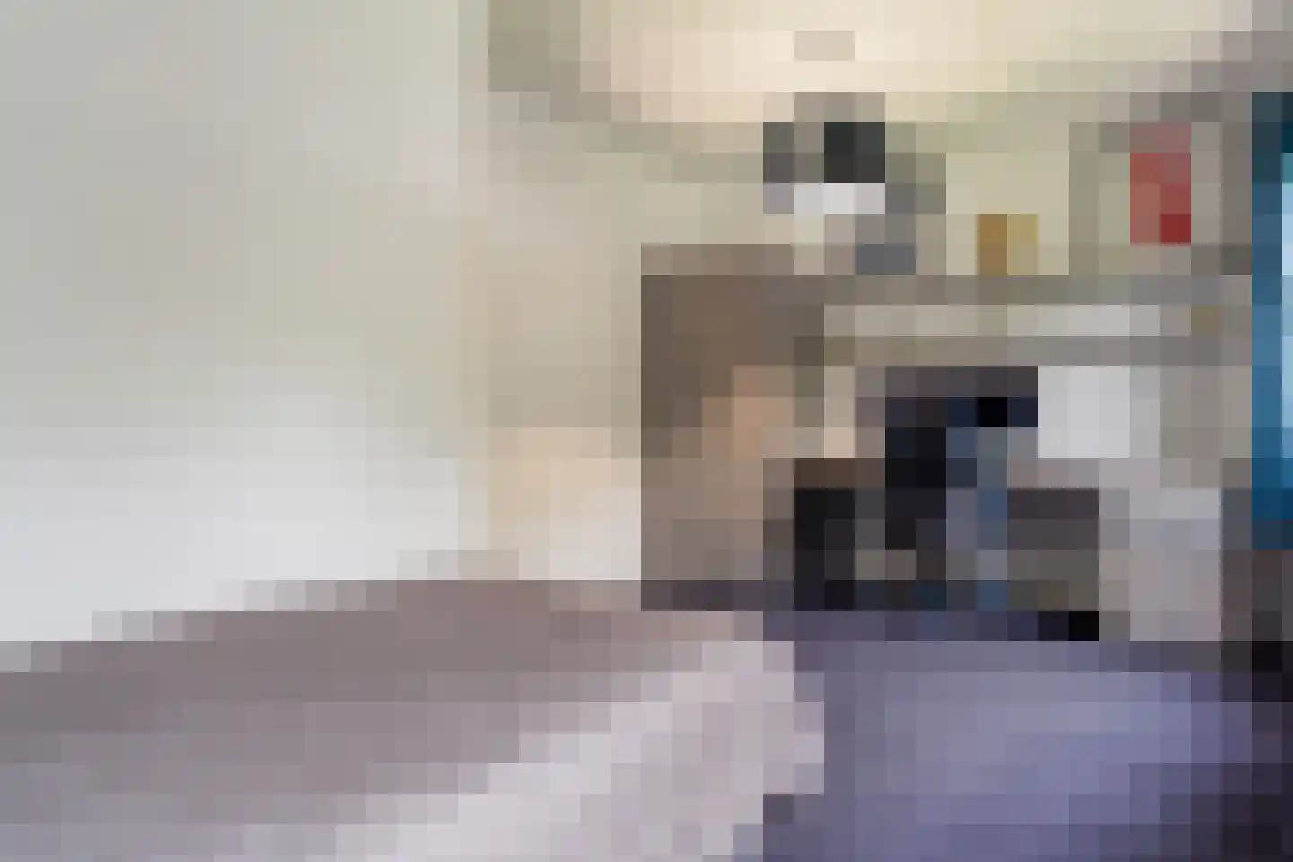 Riethovenerf 18 Tilburg thumbnail 20