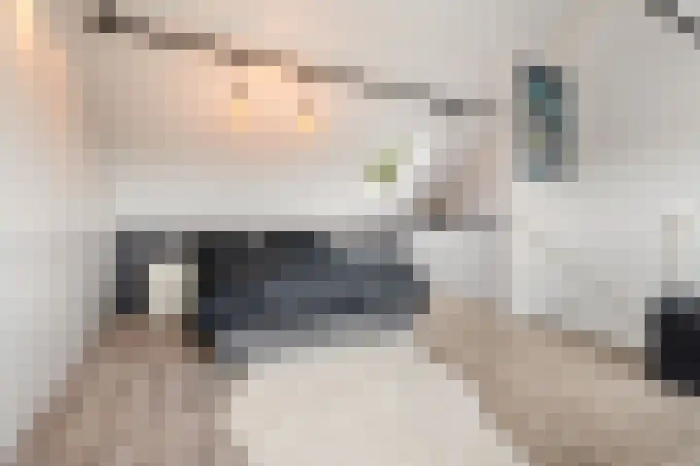 Riethovenerf 18 Tilburg thumbnail 24