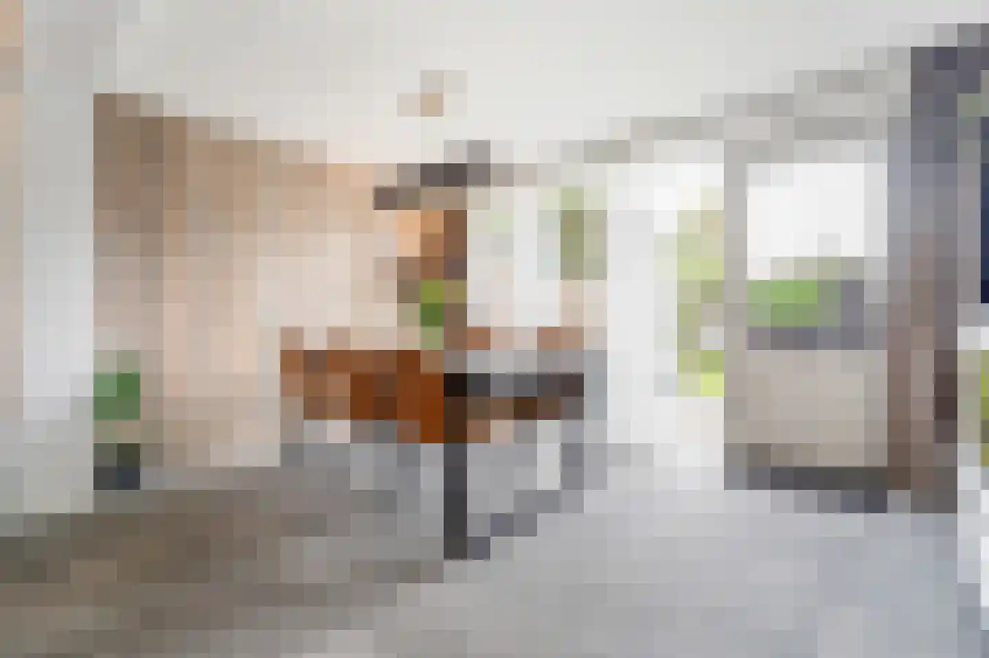 Riethovenerf 18 Tilburg thumbnail 7