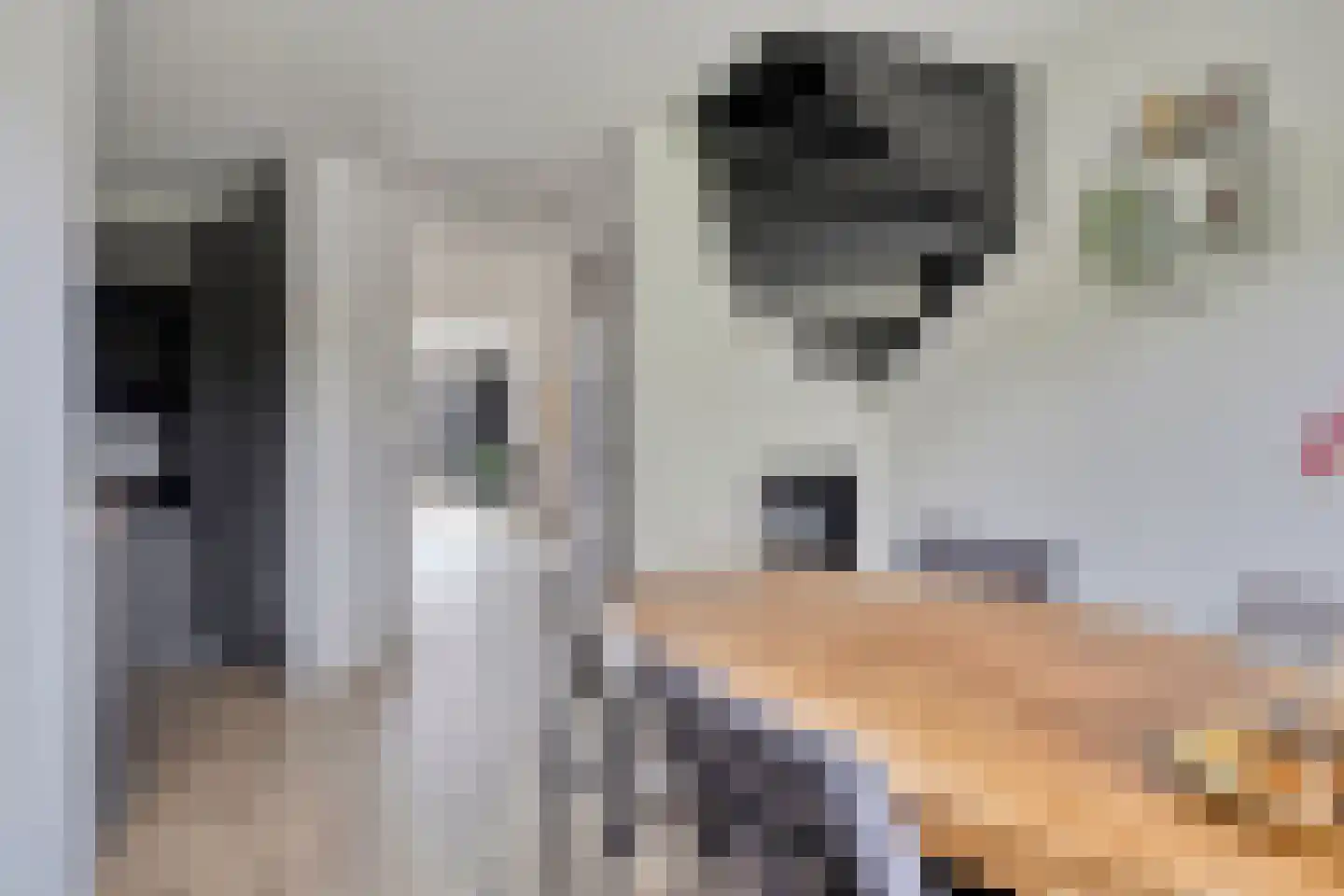 Riethovenerf 53 Tilburg thumbnail 11