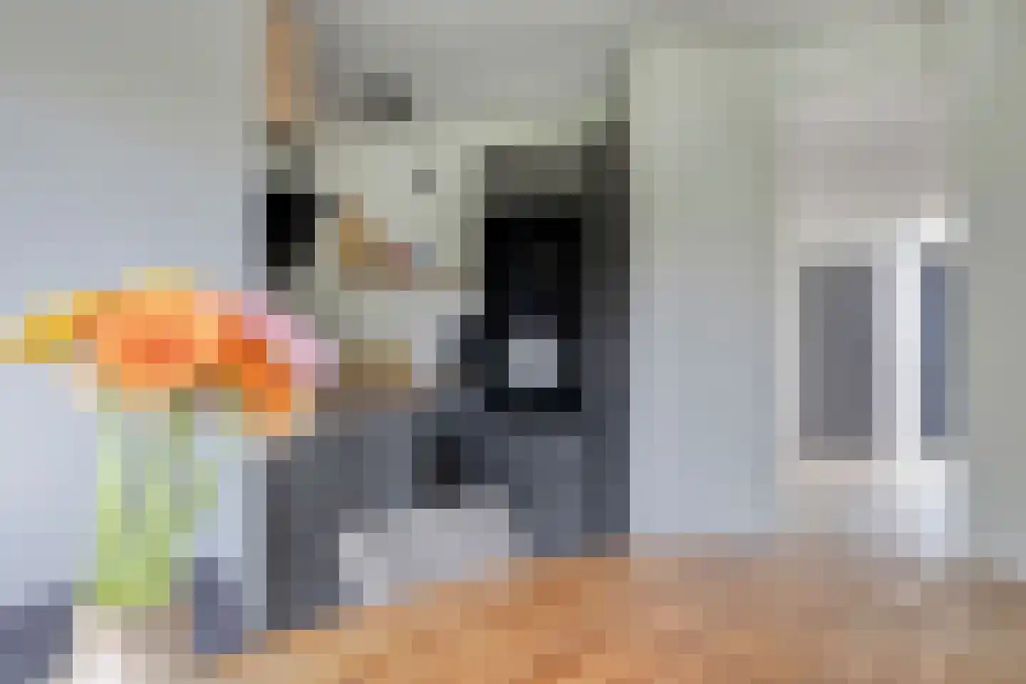 Riethovenerf 53 Tilburg thumbnail 12