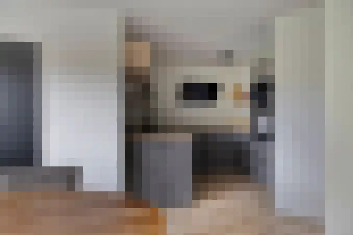 Riethovenerf 53 Tilburg thumbnail 14