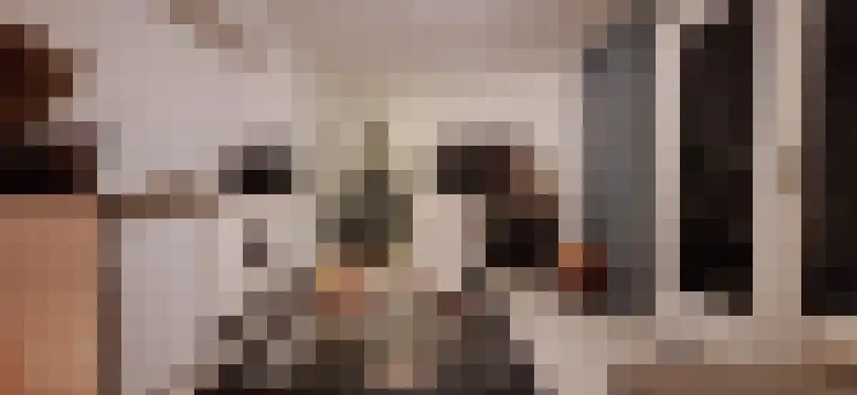 Riethovenerf Tilburg thumbnail 5