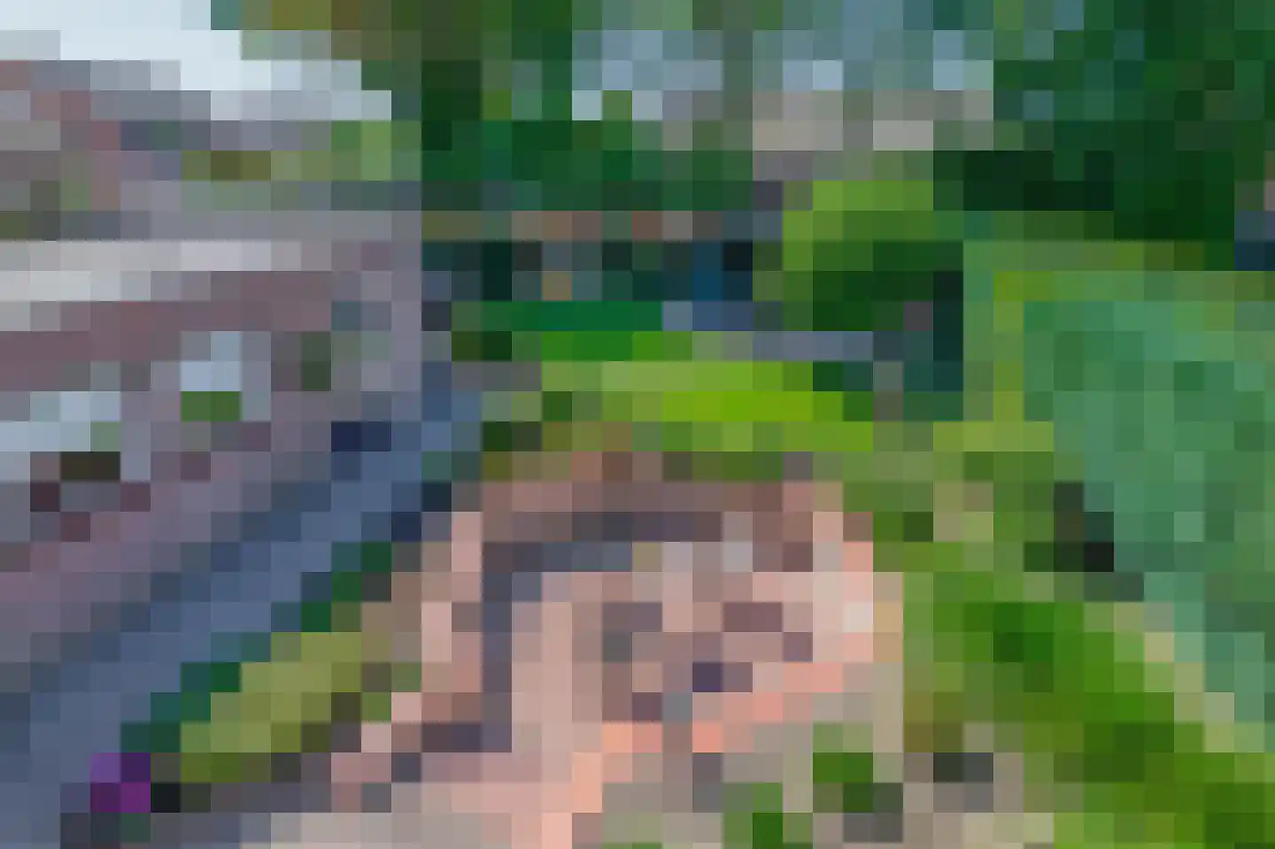 Riethovenseweg 25 a Steensel thumbnail 4