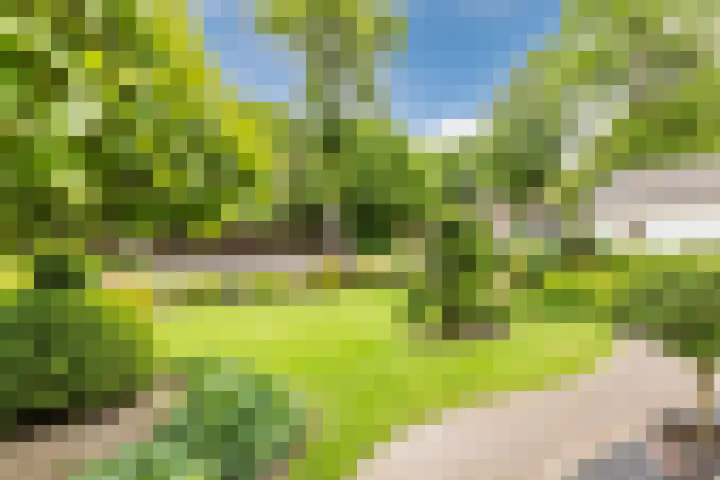 Riethovenseweg 33 a Steensel thumbnail 4