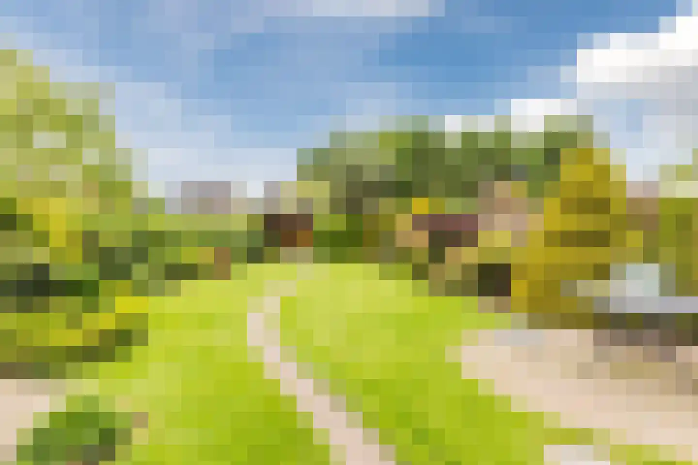 Riethovenseweg 33 a Steensel thumbnail 54
