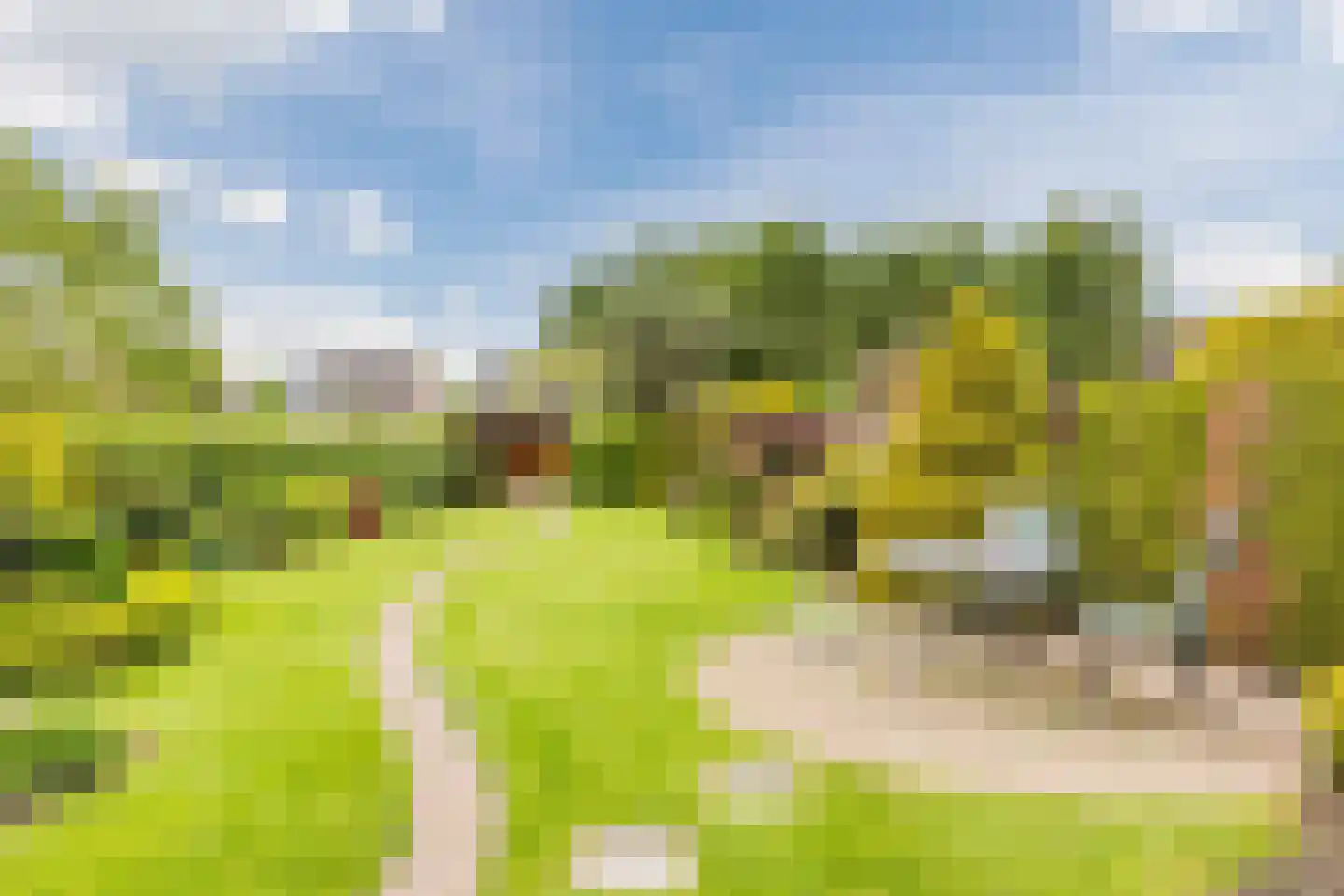 Riethovenseweg 33 a Steensel thumbnail 55