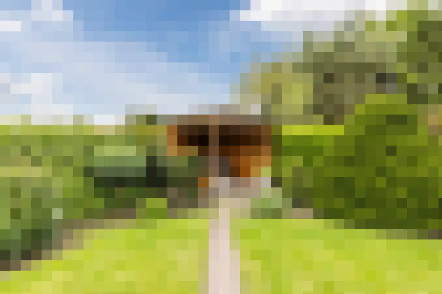 Riethovenseweg 33 a Steensel thumbnail 57