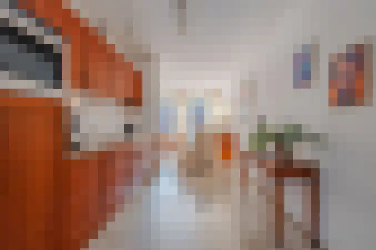Riethstraat 51 Tegelen thumbnail 14