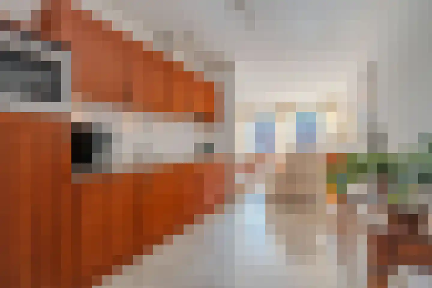 Riethstraat 51 Tegelen thumbnail 15