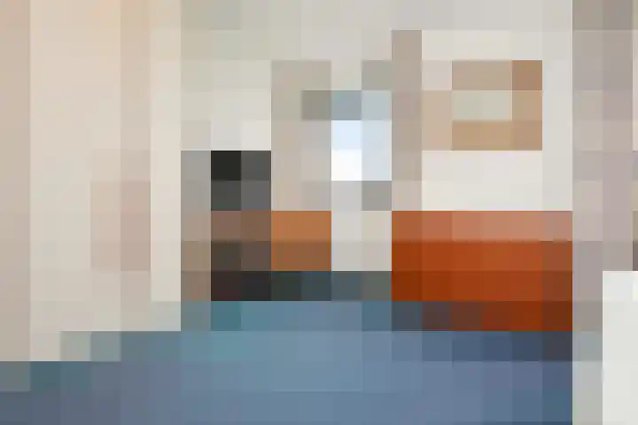Rietkade 36 Den Haag thumbnail 18