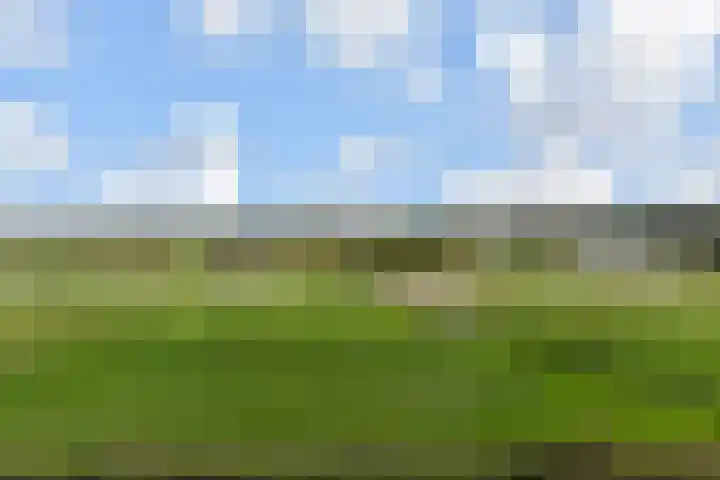 Rietkade 36 Den Haag thumbnail 31