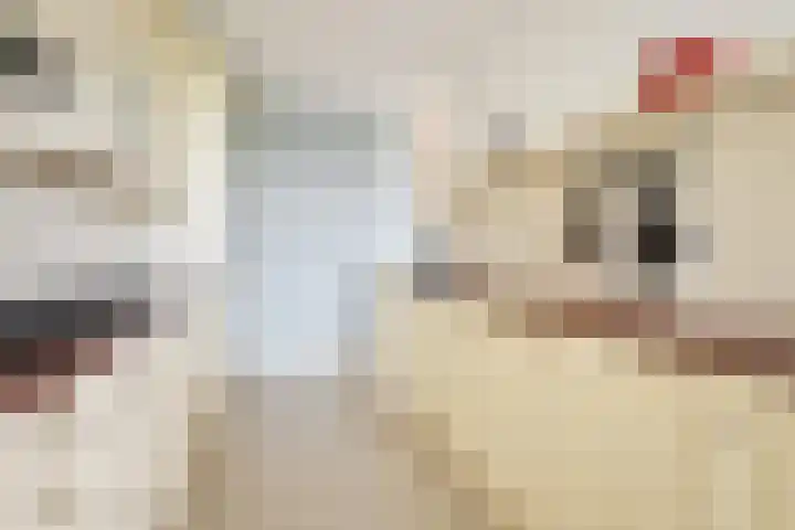 Rietkade 36 Den Haag thumbnail 42