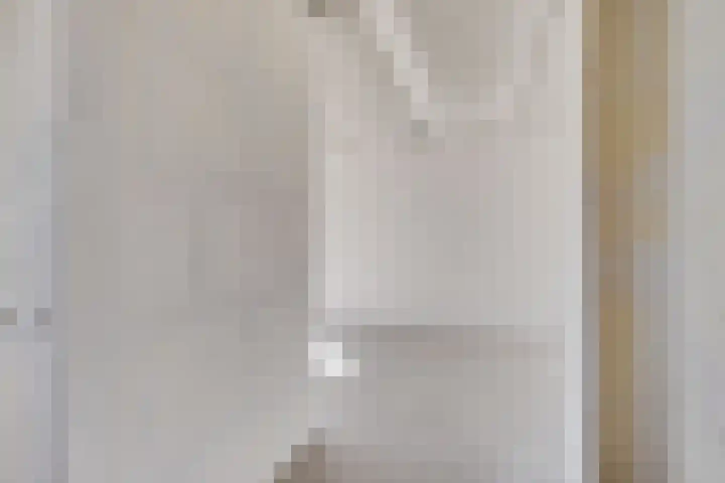 Rietkamer 45 Genemuiden thumbnail 12