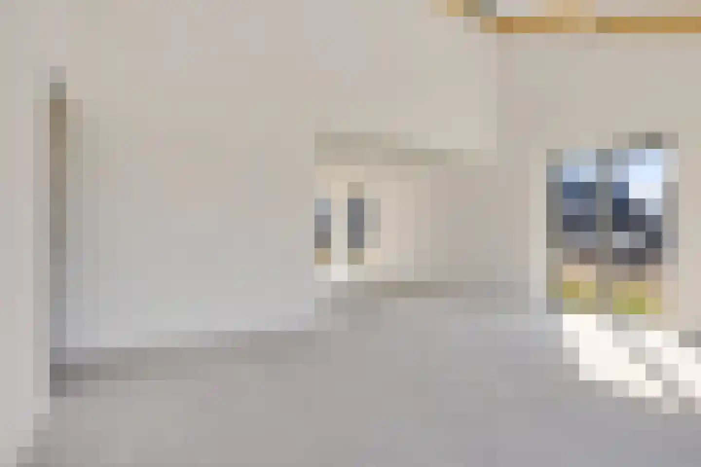 Rietkamer 45 Genemuiden thumbnail 15
