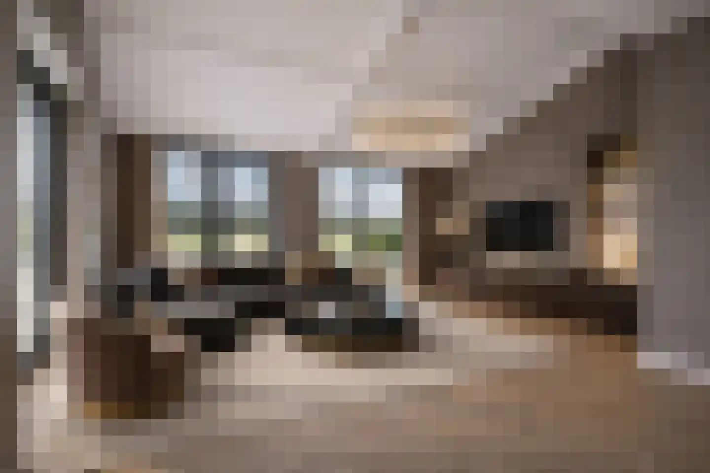 Rietkamer 45 Genemuiden thumbnail 16